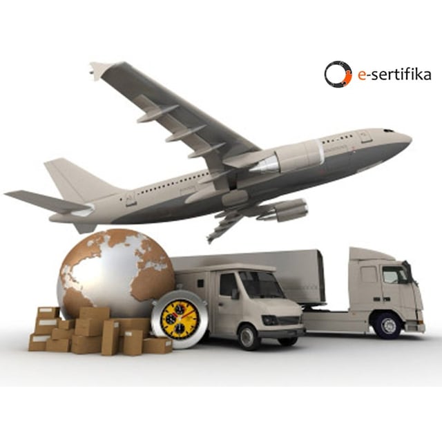 Taşımacılık (Ulaştırma) Eğitimi