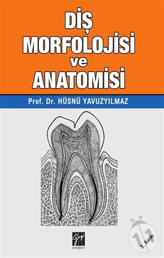 Diş Morfolojisi ve Anatomisi - Hüsnü Yavuz Yılmaz