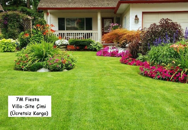 7li Karışım Fiesta Çim Tohumu  7 günde Çimlenen (Ücretsiz Kargo)