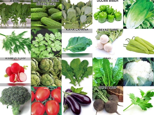 YERLİ YAZLIK - KIŞLIK SEBZE TOHUMU ÇEŞİTLERİ