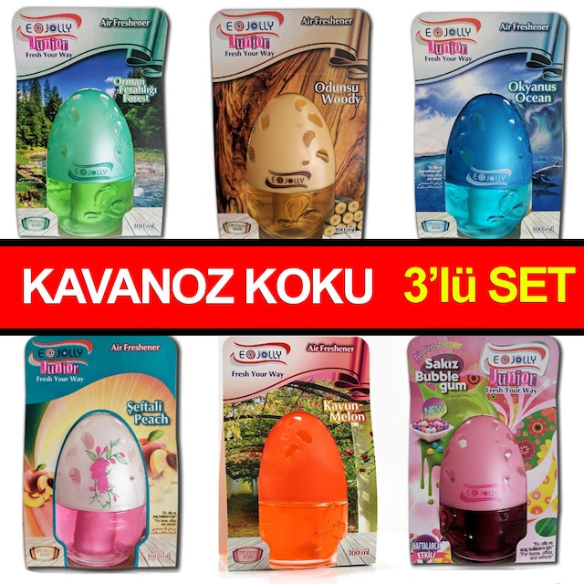 Şişe Koku - Oda ve Oto Kokusu Araç Kokusu Kavanoz Koku 3 Lü Set