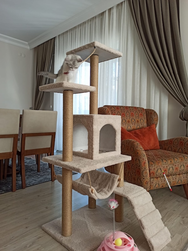 PETHOME MİHRABAT BEJ KEDİ TIRMALAMA EVİ ÜCRETSİZ KARGO