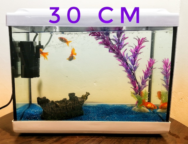 Hazır Akvaryum Seti (30 cm)