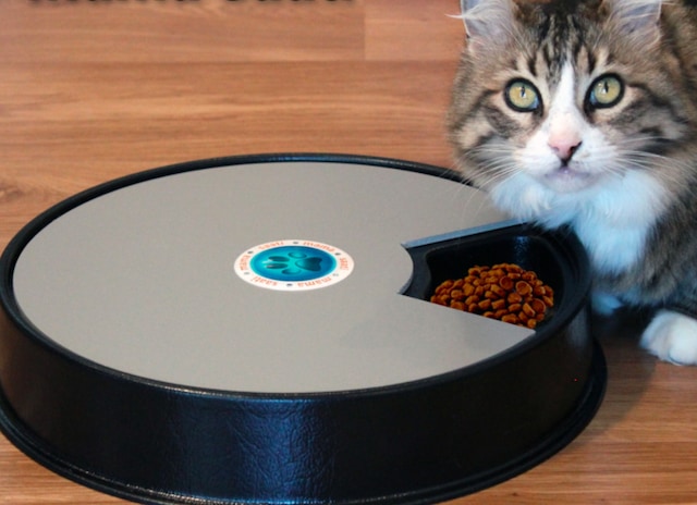 Mama Saati Otomatik Kedi Mama Kabı 6 x 200 ML