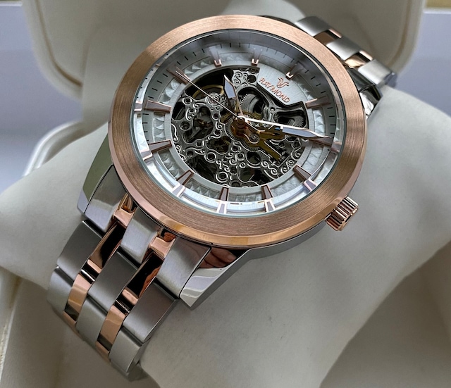 Raymond Swiss 3100-01 Erkek Kol Saati