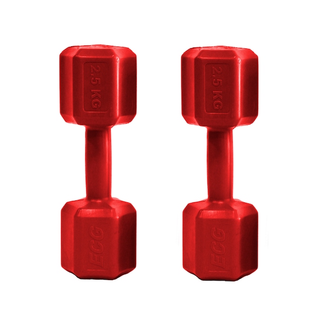 Ecgspor 2.5 KG Dambıl Seti 2.5 KG x 2 Toplam 5 KG Ağırlık Seti Kı