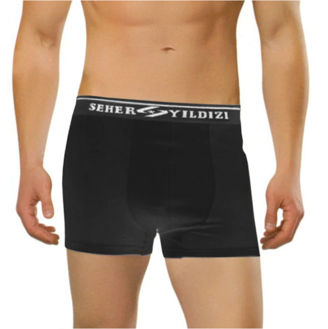 Erkek Boxer Likralı Şort 6'lı Seher 0060