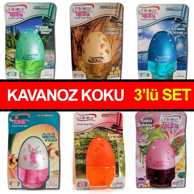 Şişe Cam Koku Oda ve Oto Kokusu Araç Kokusu Kavanoz Koku 3 Lü Set