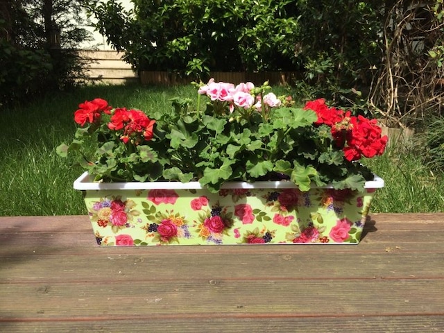 60cm Plastik Saksı - Güllü Balkon Saksısı Cam Önü Saksı