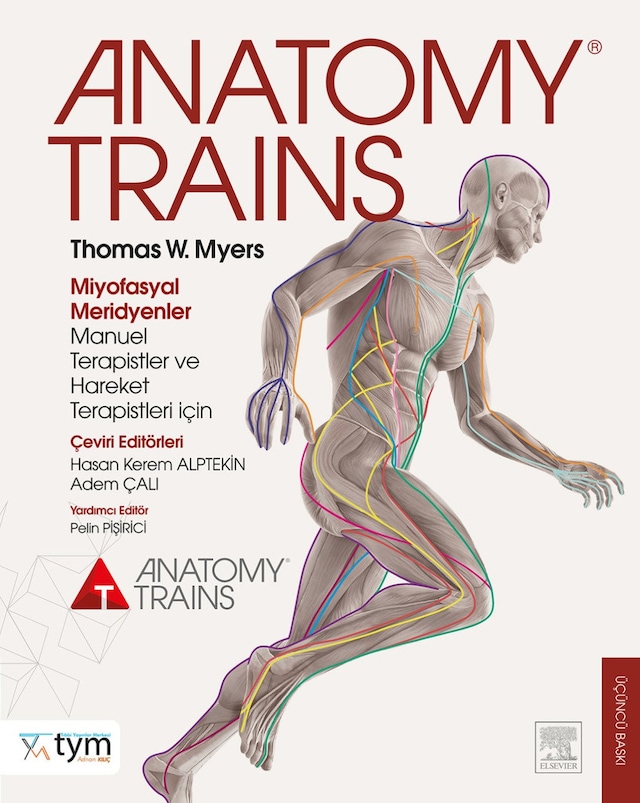 Anatomy Trains - Myers | Türkçe