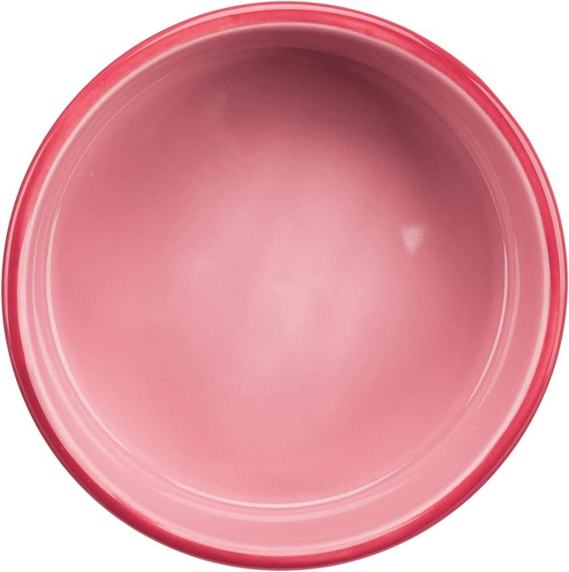 Köpek Seramik Mama Su Kabı 0,80 Lt / 16Cm