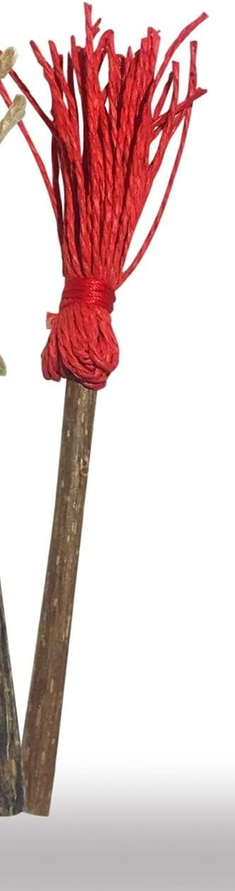 MATATABİ SÜPÜRGE 2 Lİ