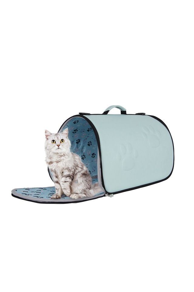 eBavul Katlanabilir Kedi Taşıma Çantası KDKP19019 Su Yeşili