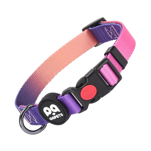 Köpek Boyun Tasması - Orilana