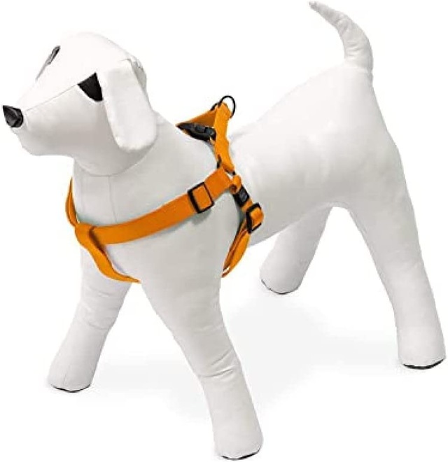 Kilitli Göğüs Tasma S 25-45Cm Turuncu