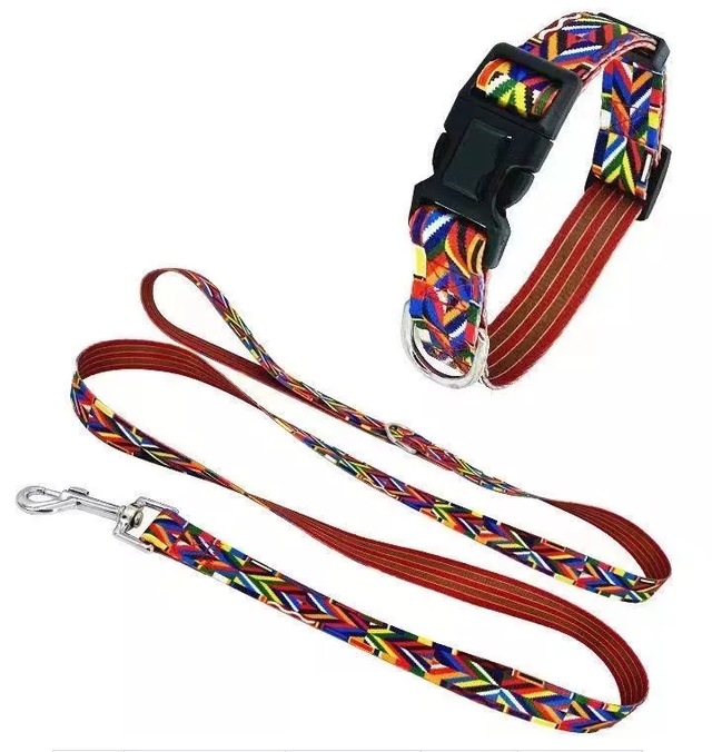 Mystro 2'li Set Köpek Tasması ve Gezdirme İpi