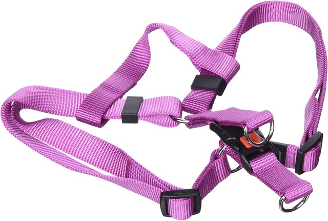 Kilitli Göğüs Tasma S/M 35-60Cm Pembe