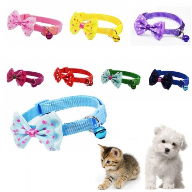 Papyon Tasarımlı Kedi Köpek Tasması