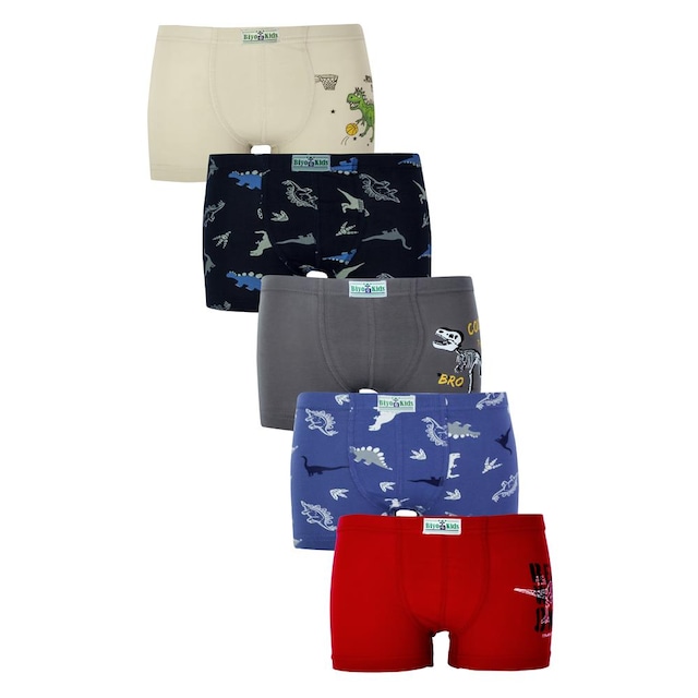Biyokids Erkek Çocuk Boxer 5 li Paket Karışık Renk Baskılı Boxer
