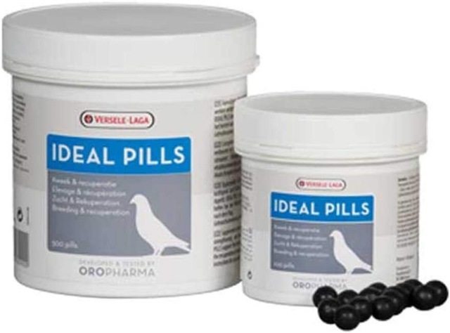 V.Laga Or.İdeal Pills Güv(Kondisyon Hapı)500 Lü