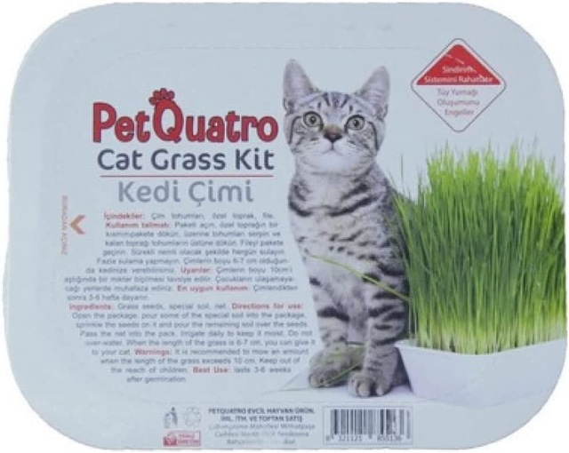 PetQuatro Kedi Çimi Sağlık ürünü
