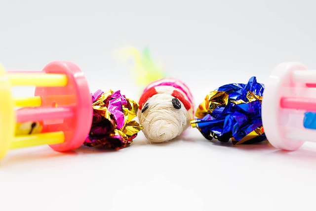 5'li Karışık Kedi Oyuncağı Seti