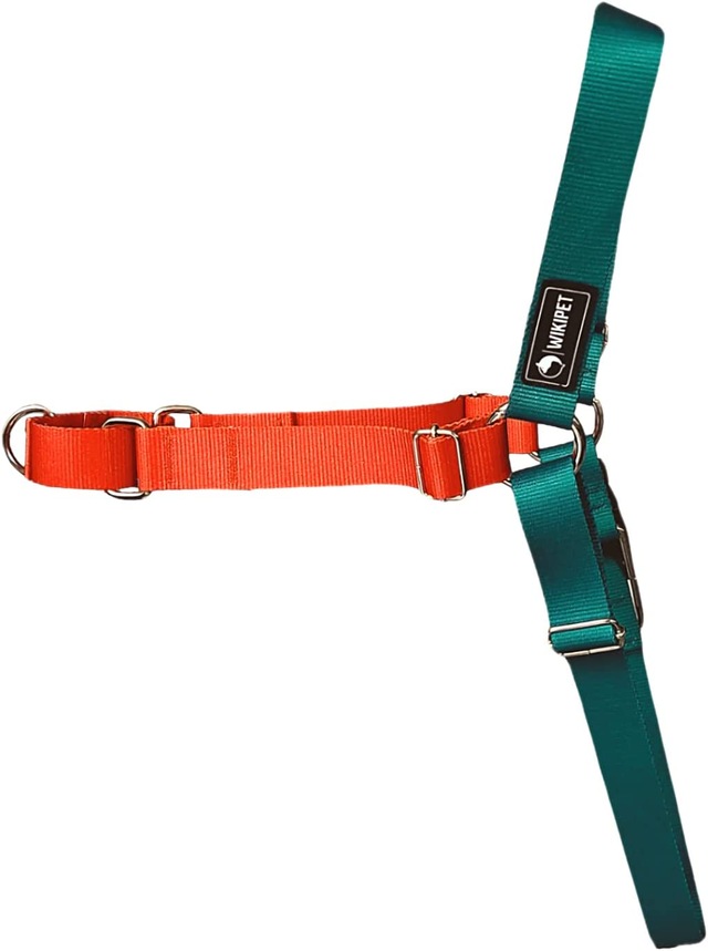 Easy Walk Önden Çekmeli Göğüs Tasması (L, Orion)