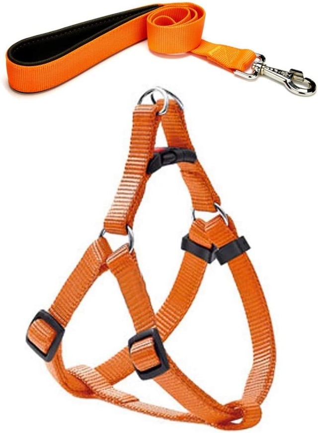 Köpek Göğüs Tasma Seti 40-60 cm Turuncu + Gezdirme Kayışı