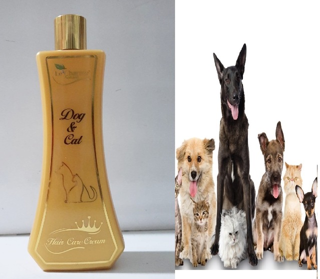 Hair Care Cream Kedi  Kolay Taramalı Tüy Bakım Kremi - Le Charme