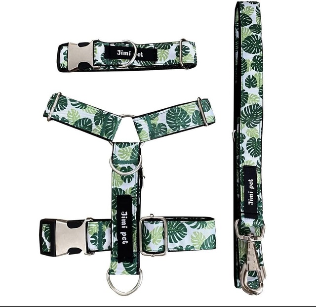 Jimi pet Monstera Tasma Seti Small Beden