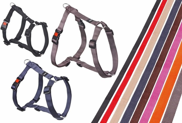 Kilitli Göğüs Tasma M 45-70 Cm Turuncu