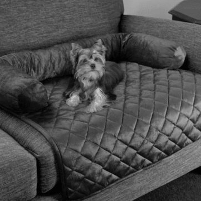 Su Geçirmez Leke Tutmaz Rahat Evcil Hayvan Koltuk Çekyat Örtüsü