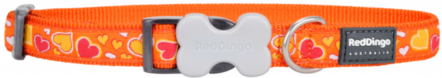 REDDİNGO BREEZY LOVE DESENLİ TURUNCU KÖPEK BOYUN TASMASI M 20MM