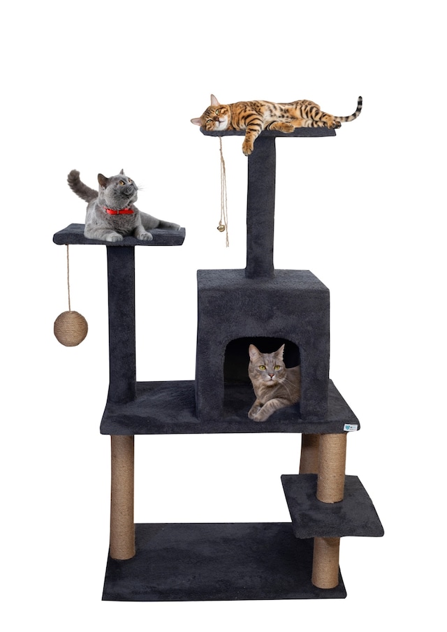 BYPET Kedi Evi-double Step Kedi Evi kedievistep