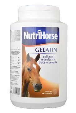 Pharmax NutriHorse Gelatin 1 KG
