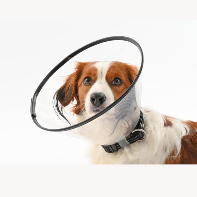 TALES YAKALIK KAUÇUK DİKİŞLİ - 7.5 CM