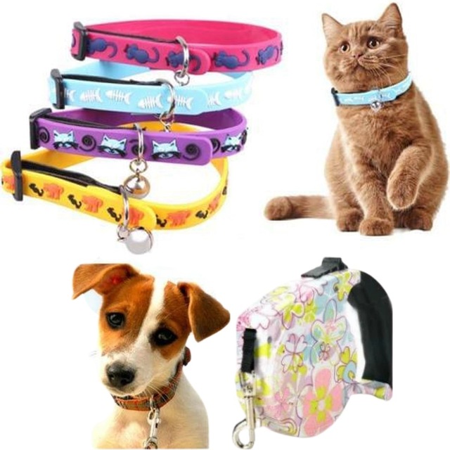 Evcil Hayvan Gezdirme Tasması Ve Dekoratif Evcil Hayvan Tasması S