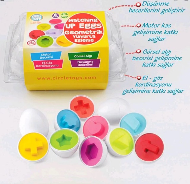 Circle Toys Geometrik Çocuk Eğitici 6’lı Yumurta Eşleme Oyunu