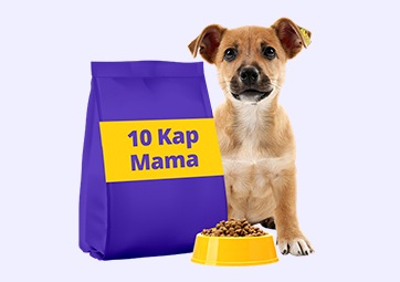 10 Kap Mama Destek Ürünü