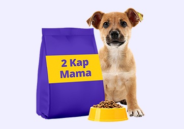 2 Kap Mama Destek Ürünü