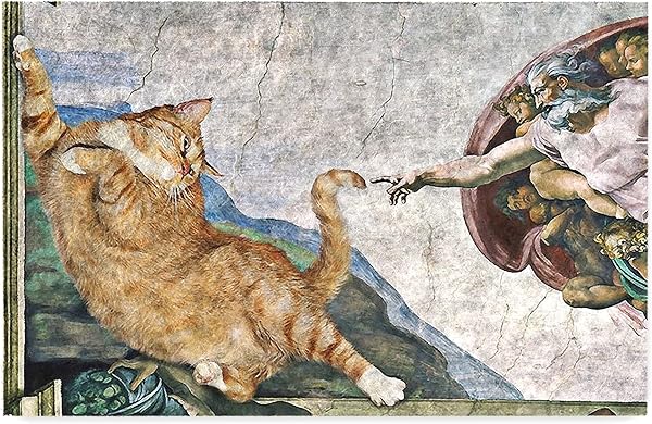 Monnhein Kedi Köpek Komik Tasarımlı Dekoratif Kapı önü Paspas, Dış Mekan/Ev İçi/Banyo/Mutfak/Yatak Odası/Giriş Paspasları (Ke