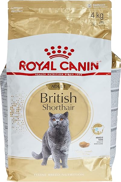 Royal Canin British ShortHair Adult Kedi Maması, 4 Kg