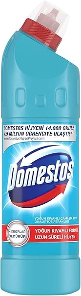 Domestos Yoğun Kıvamlı Çamaşır Suyu Okaliptüs Ferahlığı 750 ml