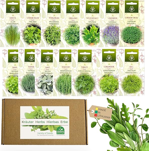 14 Bahçe Bitki Tohumları Koleksiyonu, İç veya Dış Mekan, GDO'suz, Fesleğen, Kekik, Maydanoz, Bahçe Teresi, Kişniş, Lavanta, M