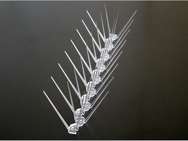 Kuş Kovucu Kuş Kovar Kuşkonmaz Diken