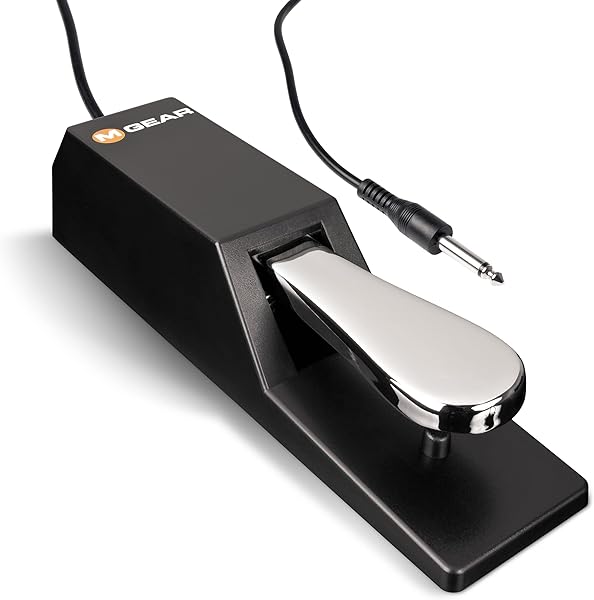 M-Audio SP-2 | Universal Sustain Pedal