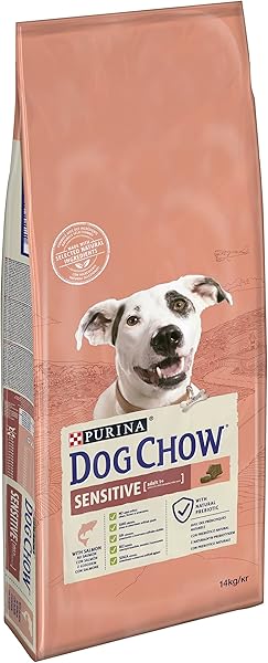 Dog Chow-Purina Somon Balıklı Yetişkin Köpek Maması 14 kg