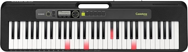 CASIO LK-S250 61 TUŞLU (IŞIKLI) ORG