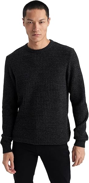 DeFacto Standart Fit Bisiklet Yaka Triko Kazak