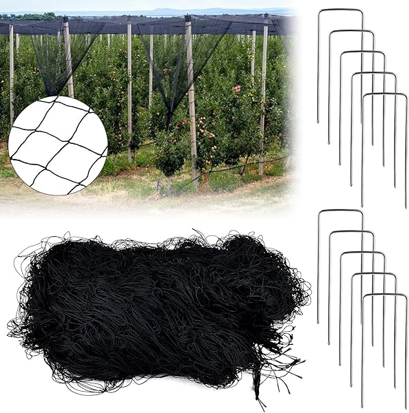 Meyagot Kuş koruma ağı, 5 x 15 m kuş ağı, kuş kafesi ağı, bitki ağı, bahçe ağı, kuş ağı, 6 x 6 cm, 10 toprak kancalı, yaprak 
